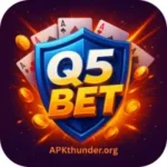 Q5Bet Game
