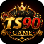 TS90 Game