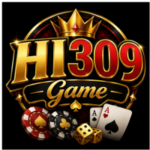 HI309 Game