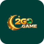 2 Go Game