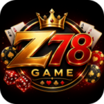 Z78 Game